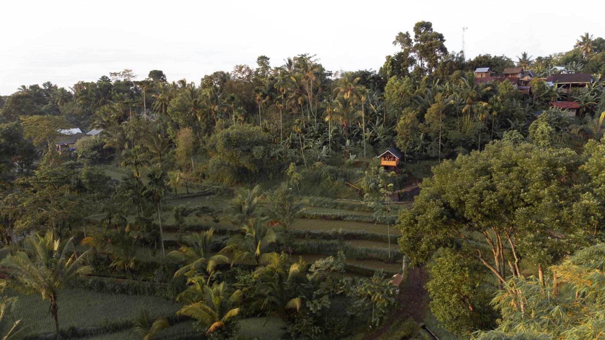 The Alam Tetebatu Bungalow & Restaurant Экстерьер фото