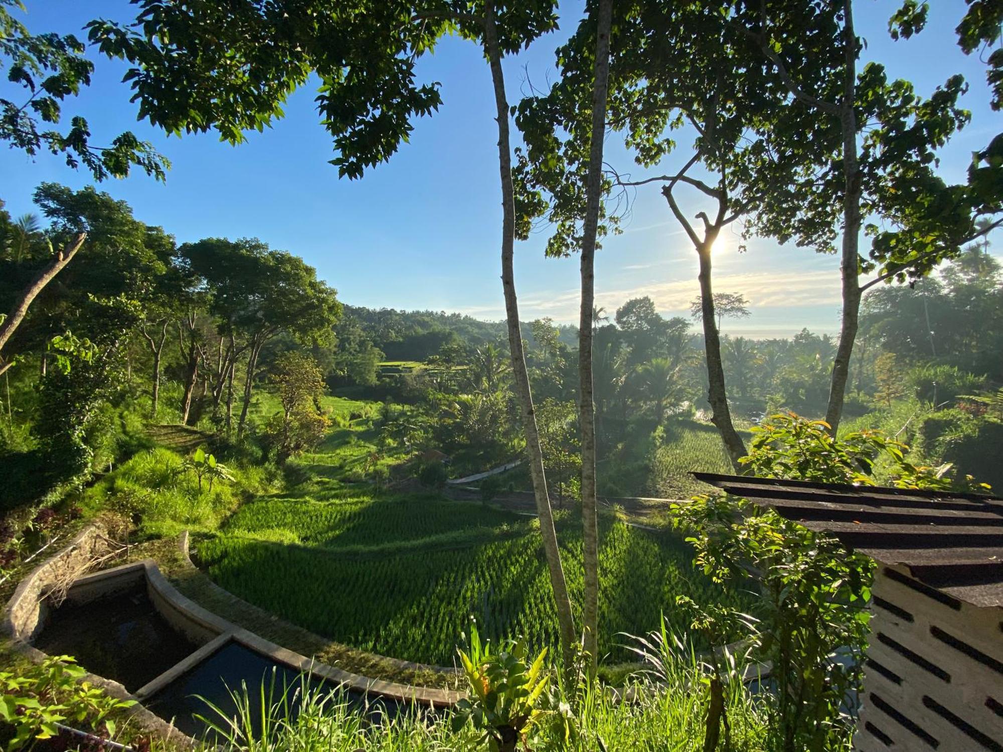 The Alam Tetebatu Bungalow & Restaurant Экстерьер фото