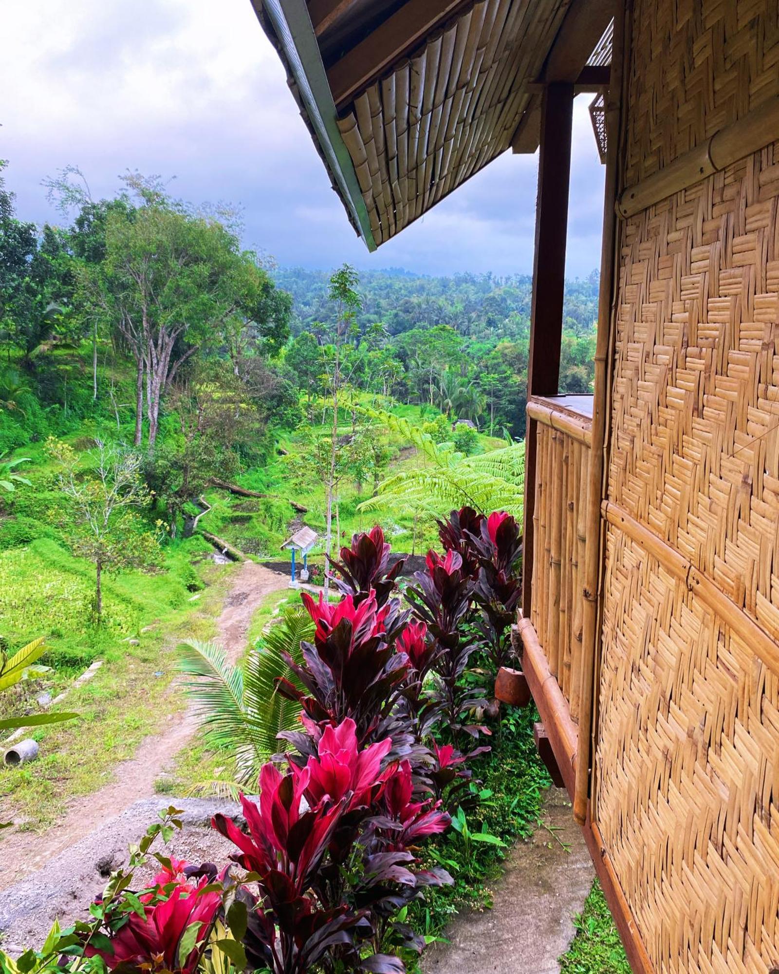 The Alam Tetebatu Bungalow & Restaurant Экстерьер фото